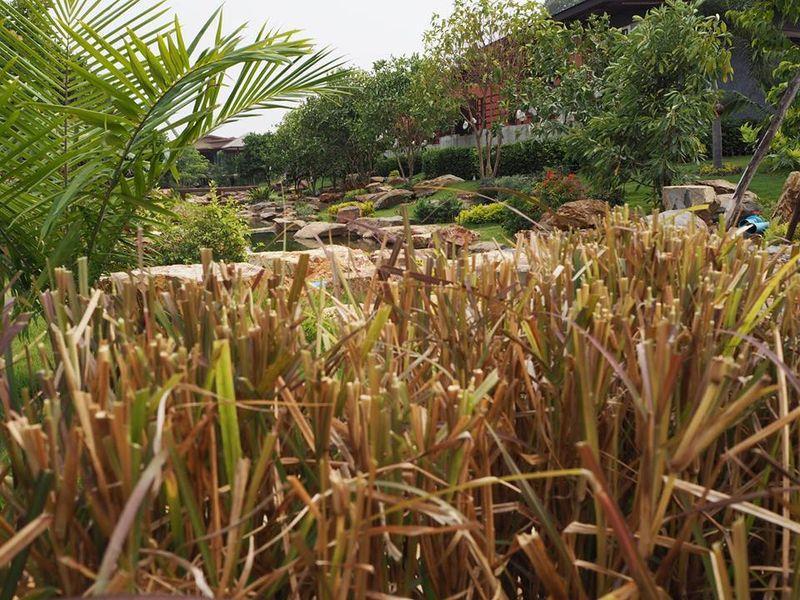 The Canal Garden Resort Ban Huai Sua Eksteriør billede
